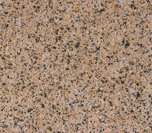 Daisy Granite Earth 1313 – Image 2
