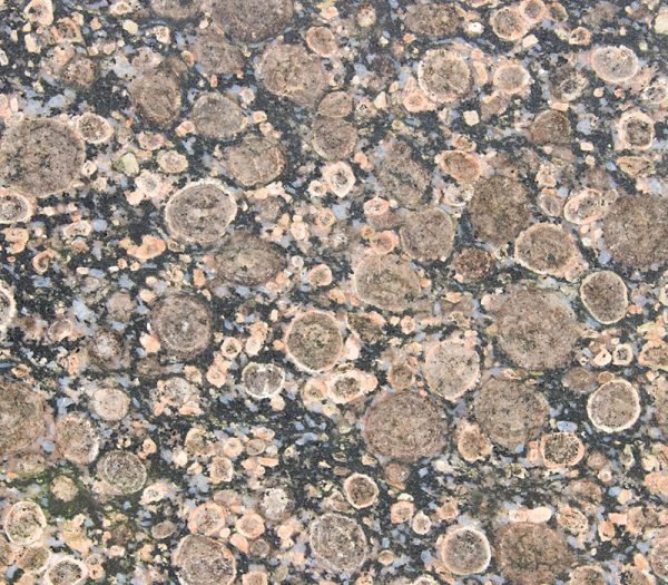 Sicily Granite Earth 1376 – Image 2