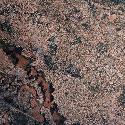 Alpha Granite Olive 1496