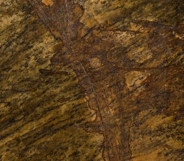 Black Elk Granite Polychrome 1829 - Image 2