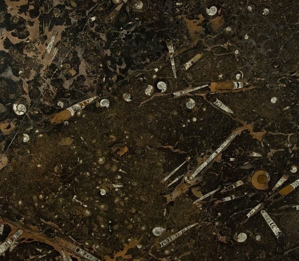 Coal Marble Charcoal 2410