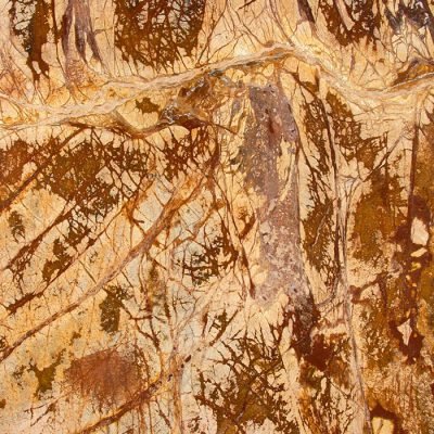 Orient Marble Earth 2116 (Honed Finish)