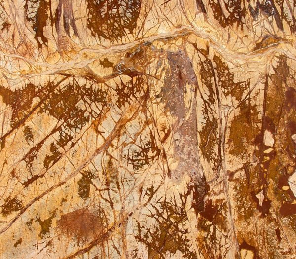 Orient Marble Earth 2116 (Honed Finish)