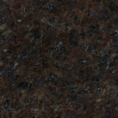 Elegant Coffee Brown