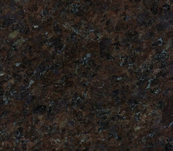 Elegant Coffee Brown