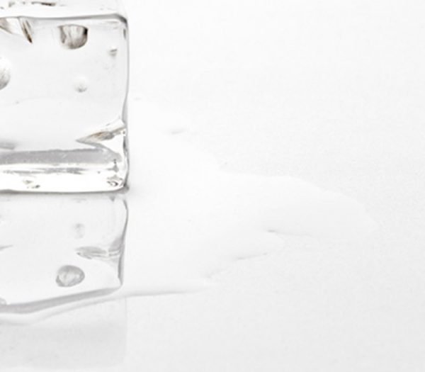 Elegant Pure White - Image 2