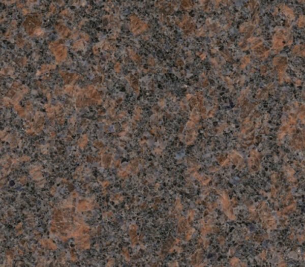 Royal Sable Brown