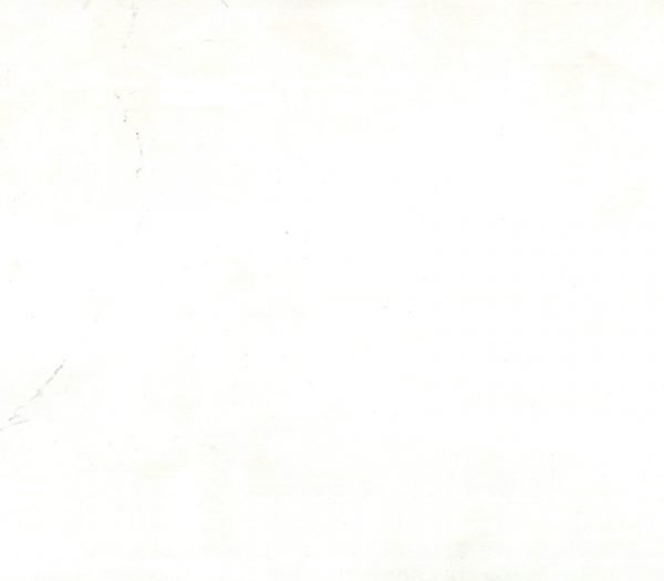 TCE Glamorous White