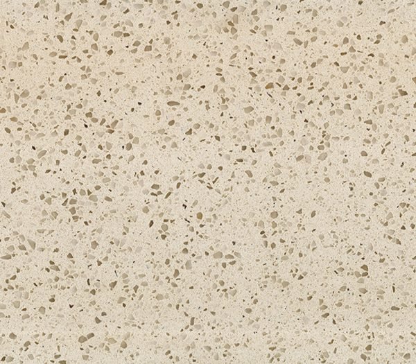 Sharp Brown