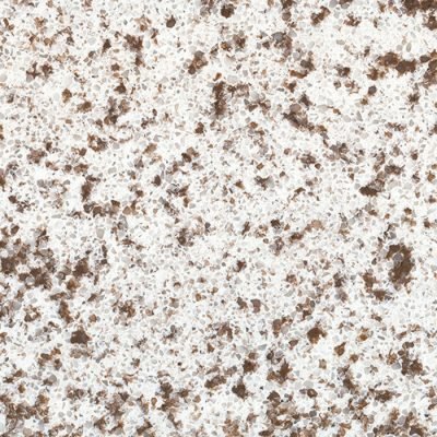 Dramatic Brown & Creamy White