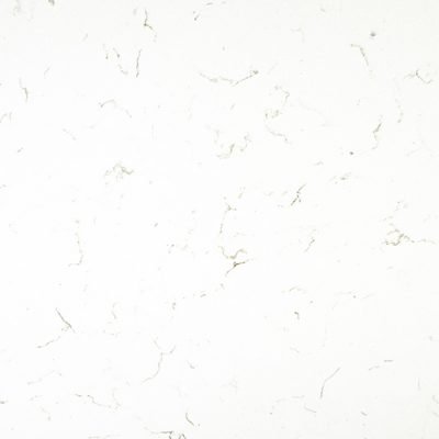 TCE Attractive White