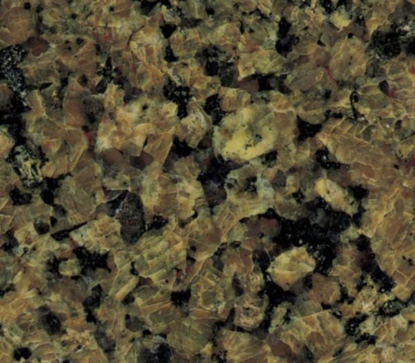 Deep Tropical Brown