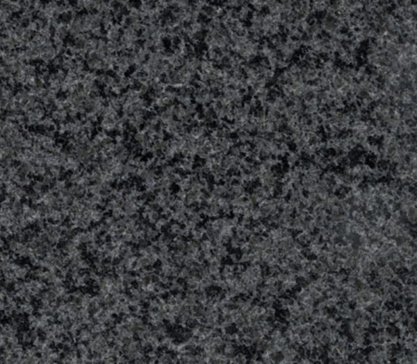 Fresh Academy Black